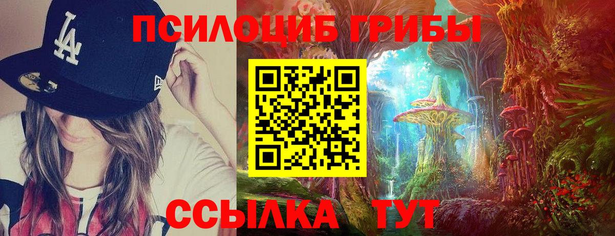 Галлюциногенные грибы мухоморы Сыктывкар